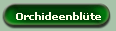 Orchideenblte